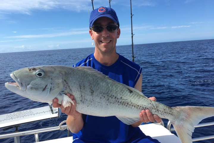a man holding a fish in the water