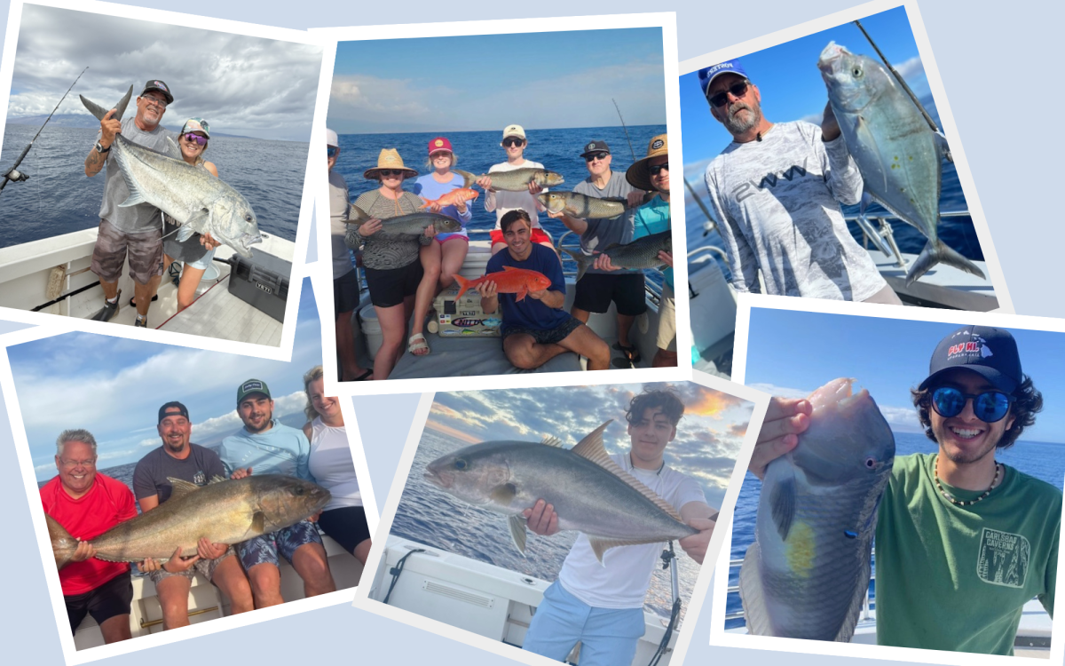 Inshore Fishing Collage (8 x 5 in) Inshore Fishing Collage (8 x 5 in)