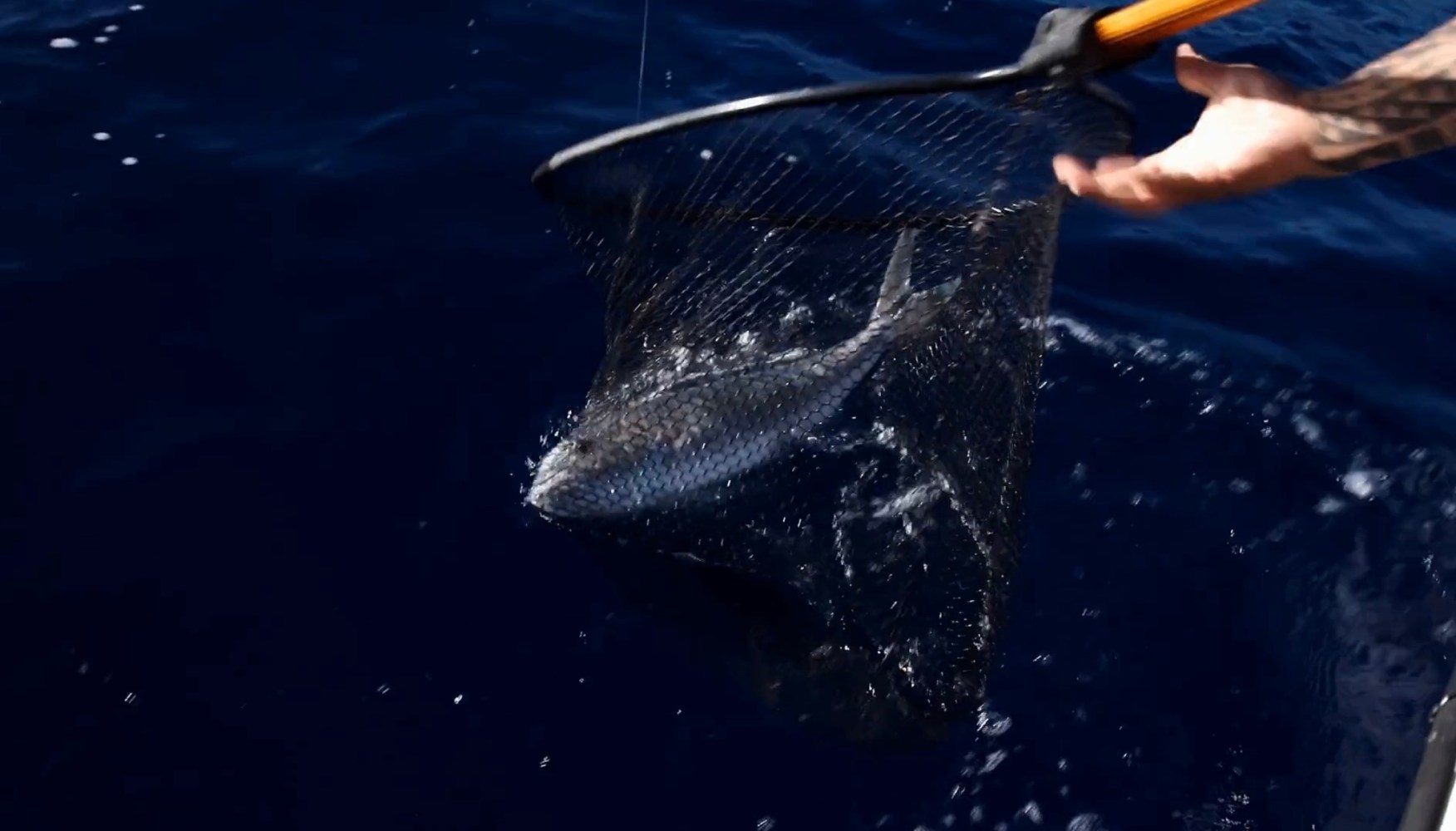 Person using a net to catch a fish over deep blue ocean water.